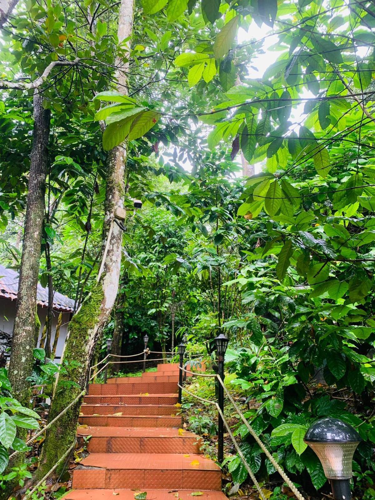 The Mountain Shades Resort Madikeri Exterior photo