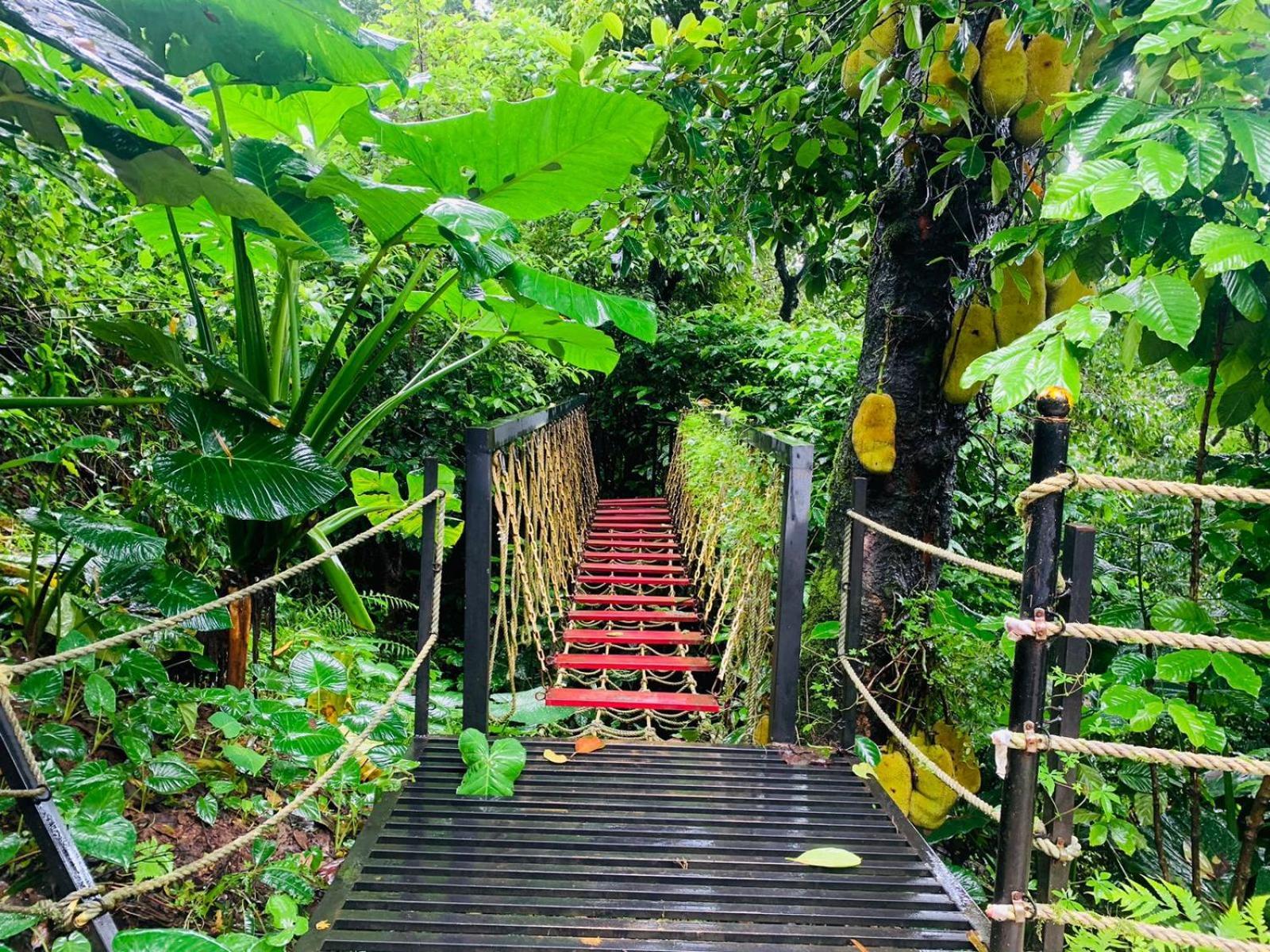 The Mountain Shades Resort Madikeri Exterior photo